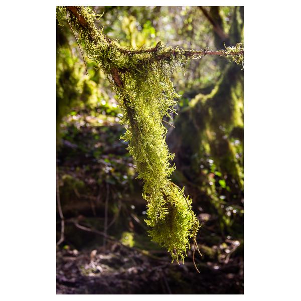 PHOTO84, CLUB, 84 , LUBERON